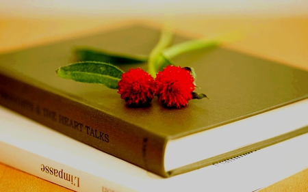 THE HEART TALKS - flowers, little, red, book