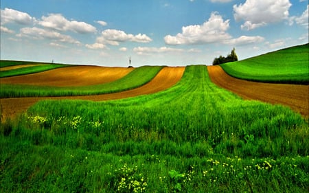 Spring Wallpaper - fields, lush, sky, hills, trees, grass lands, spring, nature, clouds, beautiful, skies, green, flowers, grass