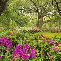 Forsyth Park