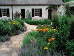 Cottage Garden