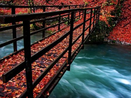 bridge over troubled water - river, blue, red, green, bridge, leaves