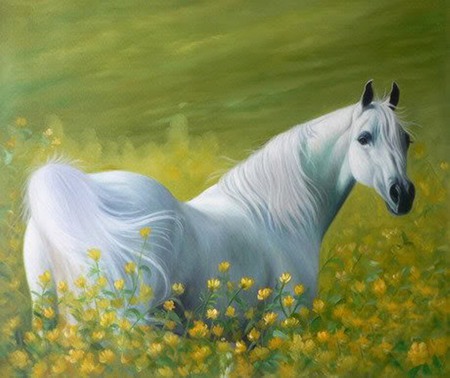 In flowers - cavalo, stallions, lovely, horse, animals