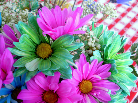 colorful daisy - colorful, daisy, lovely, spring, nature, pink, blue, green, flowers, colors