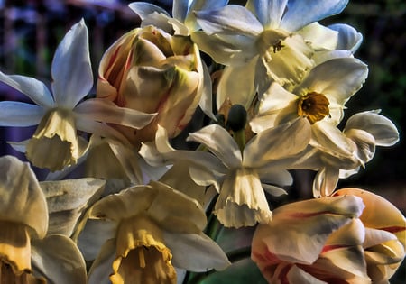 Spring Bouquet - white, tulips, peach, flowers, yellow, daffodils