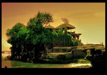 Bali Island - bali, sun, green, island, tree, sea