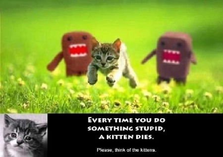 Spare the kittens - stupid people, save the kittens, kill, stupid ppl, salvation, stupid, save, kittens, monsters