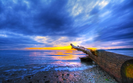 Point The Way - tree trunk, sunset, beach, sea, sky