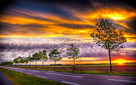 Wonderful Trip - beauty, sky, trees, field, ray, sunset, road