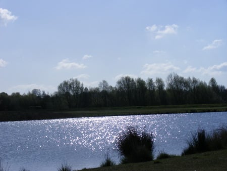 Stanwick lakes - clouds, lake, sunny, trees