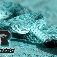 Arizona Rattlers