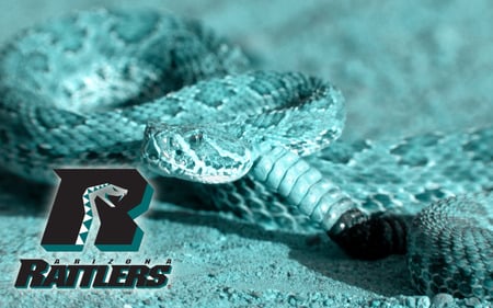 Arizona Rattlers - arizona, arena football league, afl, rattlers, football