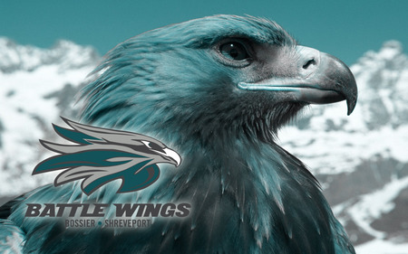 Bossier-Shreveport Battle Wings - battle wings, arena football league, shreveport, afl, bossier, football