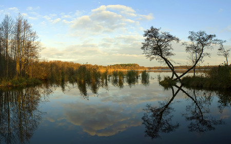 Secret Place - lake, dark, tree, nature