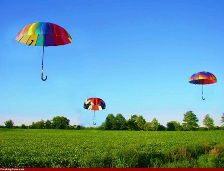 Ready for April showers - trees, open, grass, colors, country sky, umbrellas