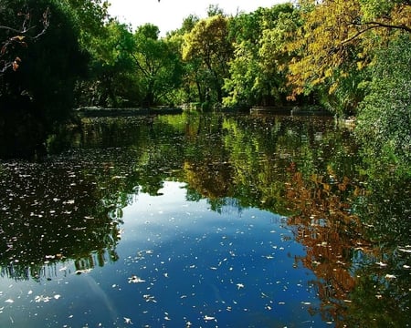 	Reflejos en el estanque - reflection, pond