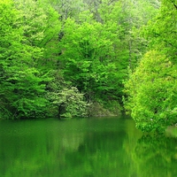  green pond in the Blacksea  zone           Turkey