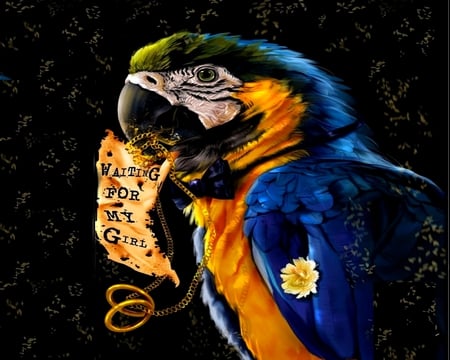 WAITING FOR MY GIRL - work, painting, note, digital, chain, parrot, flower, art