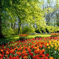 Keukenhof Gardens