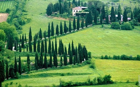 Tuscan Landscape - nature, fields