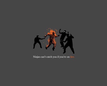 Ninjas - fun, people, four, on fire, quote, big, ninja, grey, fire, funny, ninjas