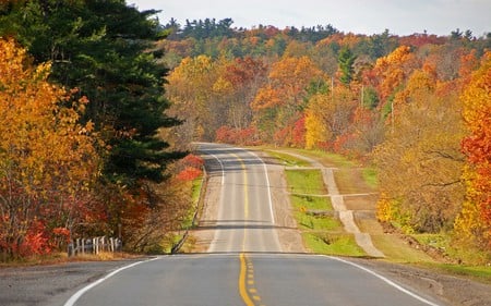 Highway - forests, road, highway, trees, nature, autumn