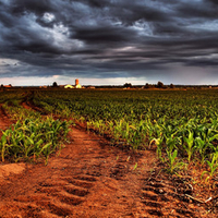 Field with thunderclouds (HDTV 1080p)