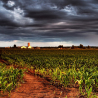 Field with thunderclouds (Dual)