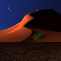 Sand Dune