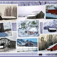 Winter Barns