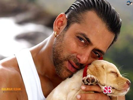 Salman ft. Labrador - dogs, salman khan, indian