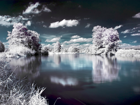 Water Image - clouds, trees, water, image, snow, sky, wallpaper