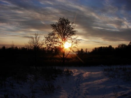 untiled - sunsets, nature