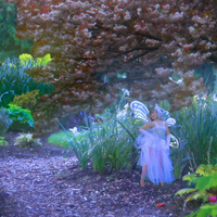 Enchanted Pathway Cropped