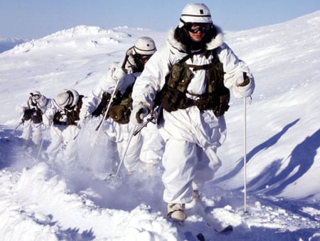 Winter Manoeuvres of the Infantry - conscript army, armed forces, snow, military, infantry, manoeuvres