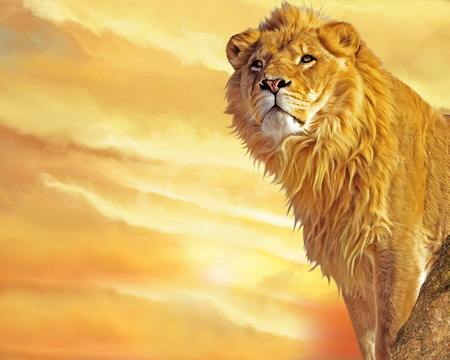 The King - male, sunny, yellow, king, leao, gold, lion, sky