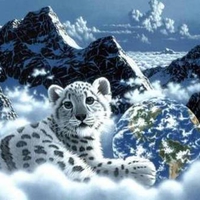 Tiger and the world