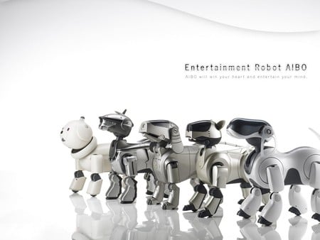 Robot Aibo - robodog, aibo, robot