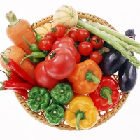 Culinary best quality all for vegetable salad