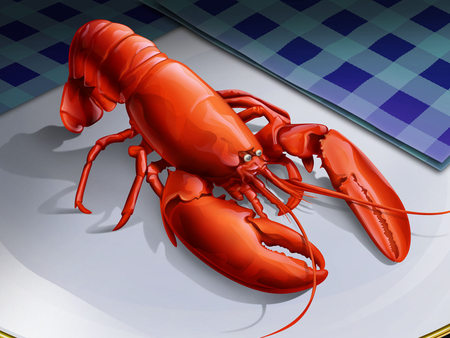 Lobster - graphics, culinary, food, lobster, fish, comestible