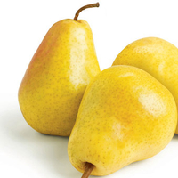 Pears