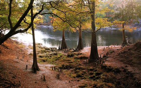 Lakes - lakes, nature, autumn, trees, beautiful