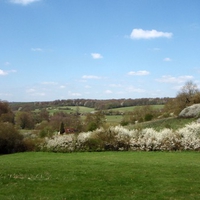 Mayflower in the Chess Valley.