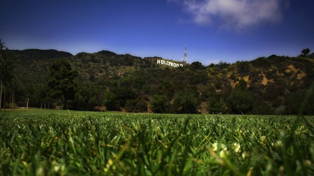 hollywood mountain - hollywood, forest, mountain, grass