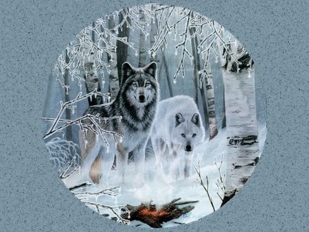 dream fantasy   043. jpg - white, animals, snow, wolfs, black