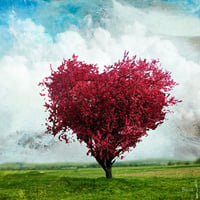 Love tree