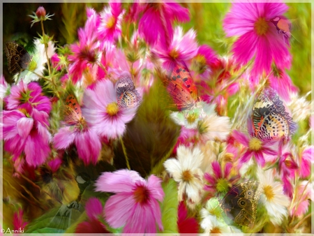 Fluttering petals - butterly, butterflies, stems, petals, pink, leaves, flowers, wings, nice