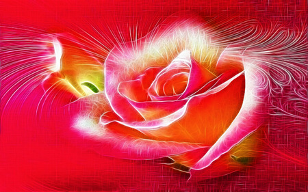 Blessing - beauty, glow, abstract, romantic, caring, rose, loving