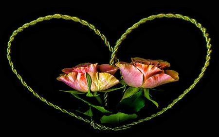 Heart Of Roses - abstract, heart, loving, romantic, beauty, caring, glow, string, rose