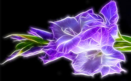 Purple Tulip - abstract, loving, romantic, fractalius, beauty, flower, caring, glow, tulips