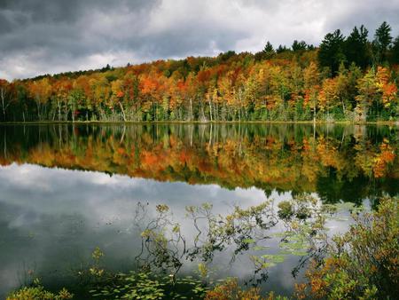 Lake - lakes, nature